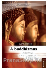 A buddhizmus lélektana